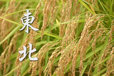 東北